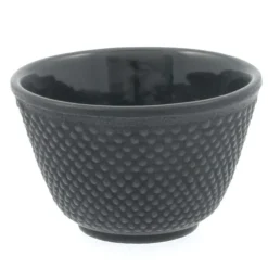 MIYA Company Cast Iron Teacup Black Hobnail