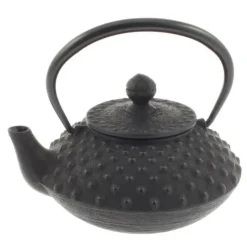 MIYA Company Cast Iron Teapot Flat Hailstone 0.35L