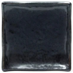 MIYA Company Iron Glaze Black Matte 5" Square Plate at Miya