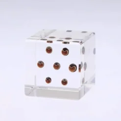 MIYA Company Sola Cube Balloon Plant
