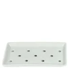 MIYA Company Sushi Neta Plate