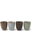 MIYA Company Teacup Pacific Forest Matte Set of 4