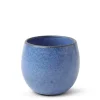 MIYA Company Teacup Umeshu Blue
