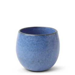 MIYA Company Teacup Umeshu Blue